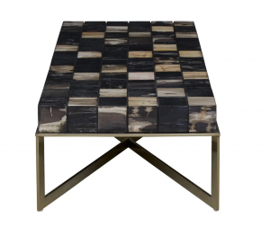 Fossil Checkered Coffee Table