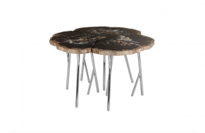 Trilogy Fossil Coffee Table