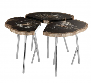 Trilogy Fossil Coffee Table