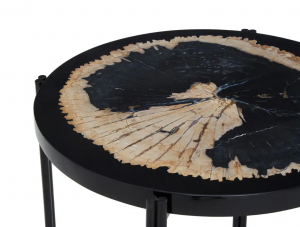 Fossil Resin Round Side Table