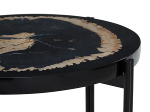 Fossil Resin Round Side Table