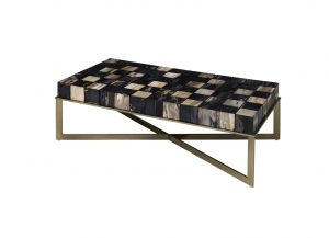 Fossil Checkered Coffee Table