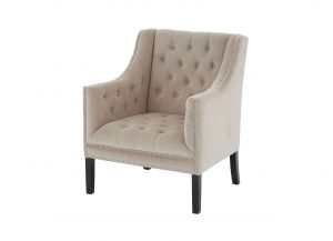 Hyde Park Velvet Occasional Chair