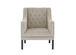 Hyde Park Velvet Occasional Chair